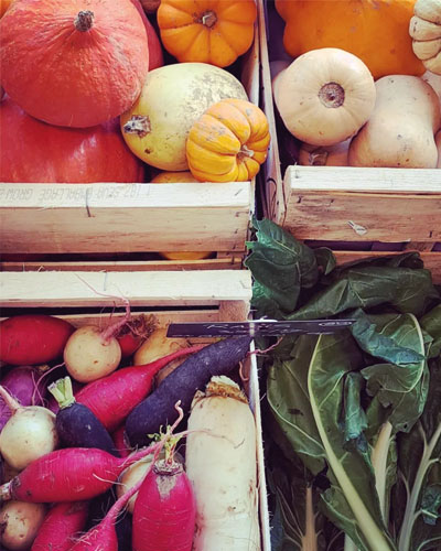 Paniers de légumes bios